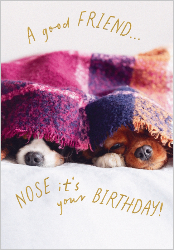 Oh My Dog: Good Friend