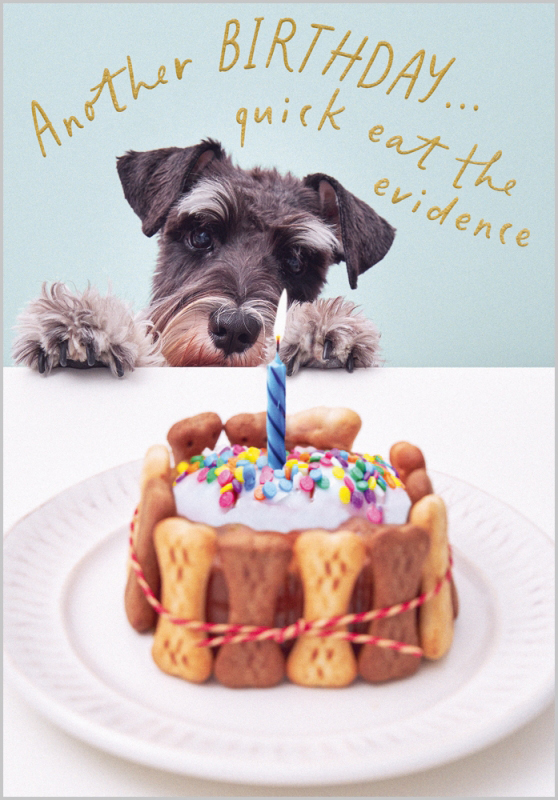Oh My Dog: Eat The Evidence