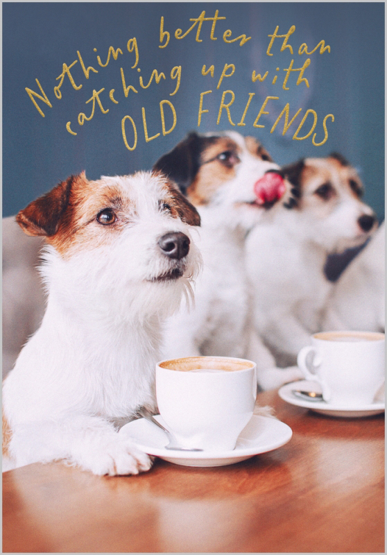 Oh My Dog: Old Friends