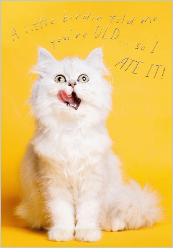 Nine Lives: So I Ate It