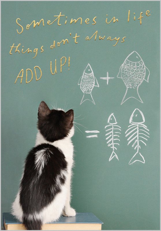 Nine Lives: Things Add Up