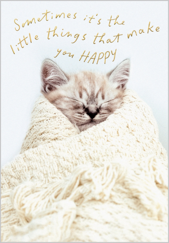 Nine Lives: Make You Happy