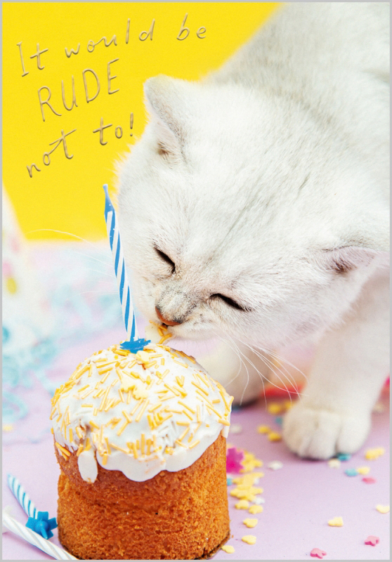 Nine Lives: Rude Not To