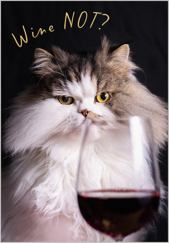 Nine Lives: Wine Not