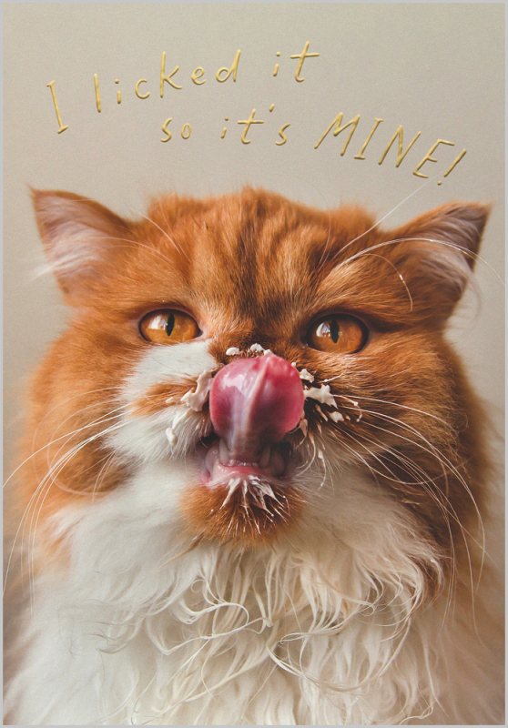 Nine Lives: I Licked It