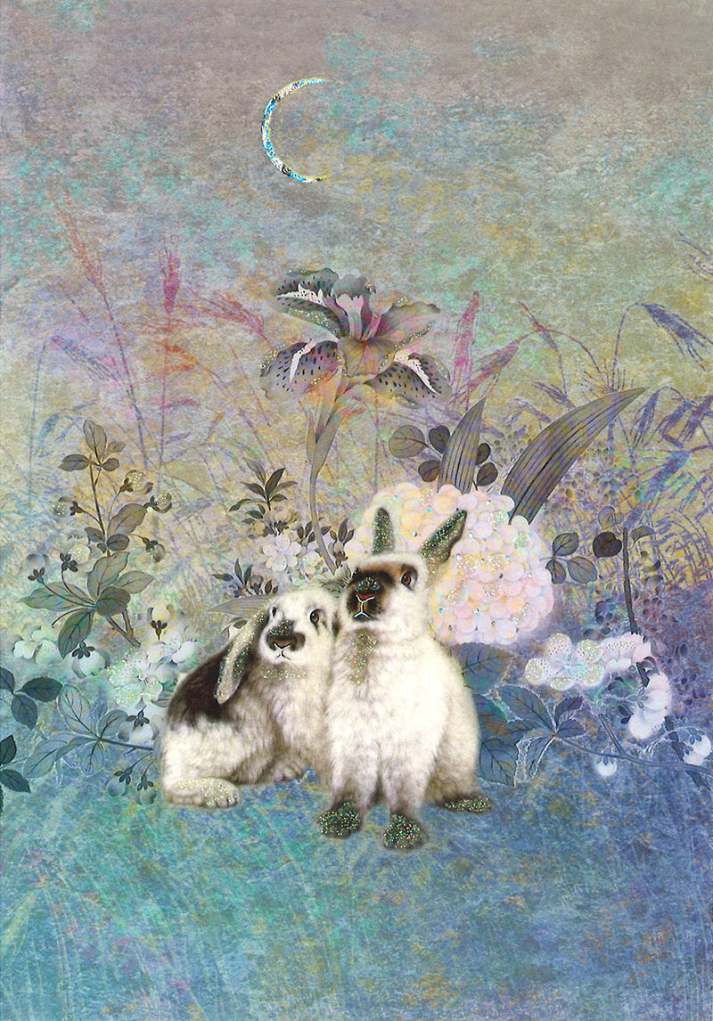 Vivien: Lop Eared Rabbits