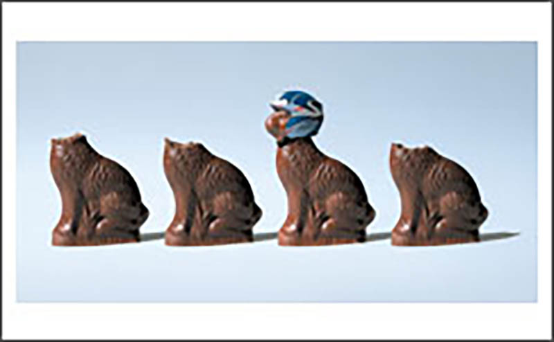 Photo Hum: Helmet Experience