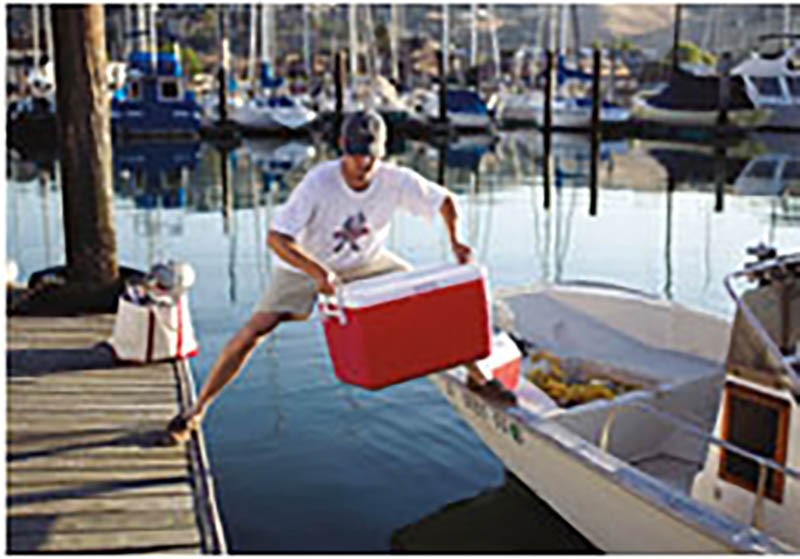 Photo Hum: Go Overboard