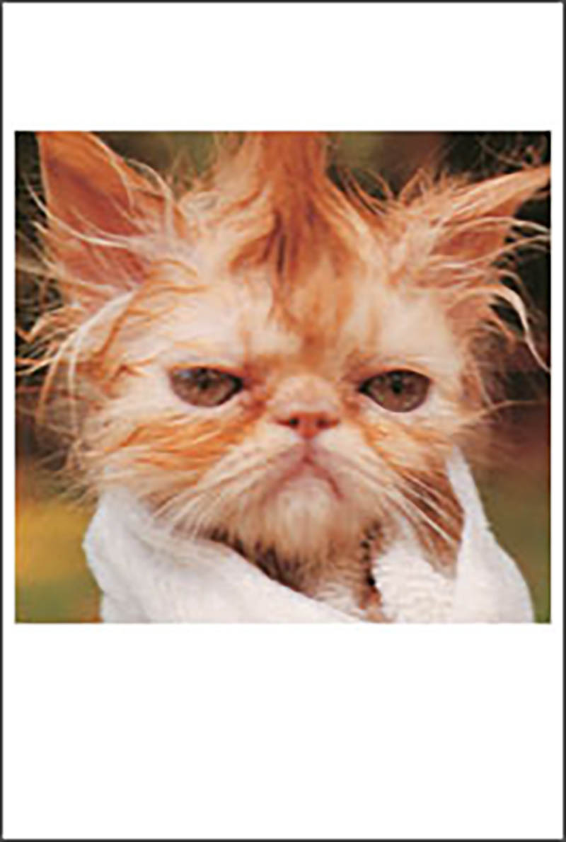 Photo Hum: Birthday Day After