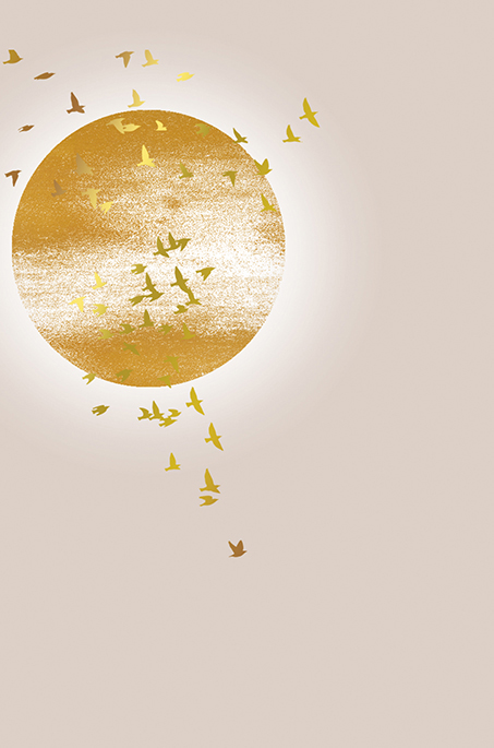 A Vos Plumes: Sun And Birds