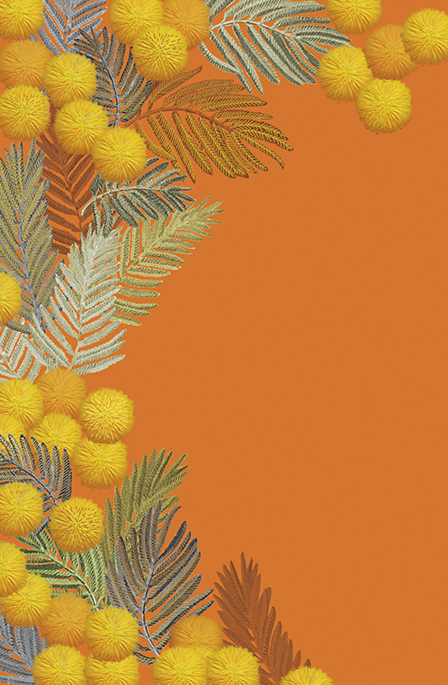 A Vos Plumes: Orange Leaves