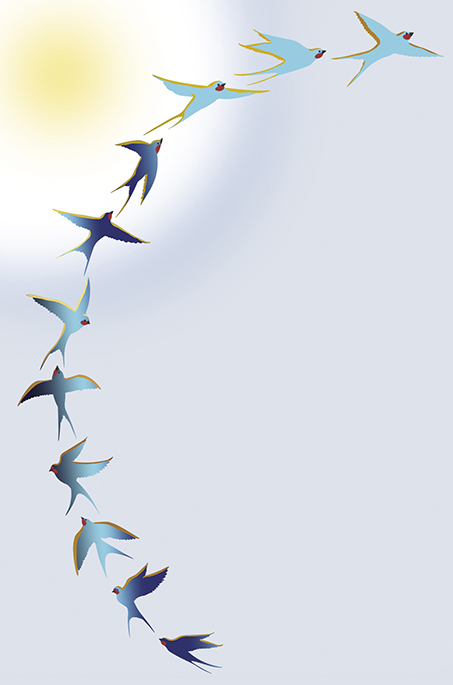 A Vos Plumes: Swallows