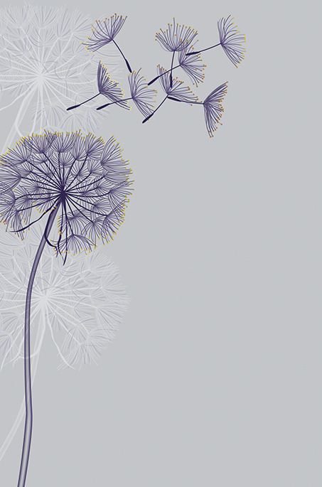 A Vos Plumes: Grey Dandelion