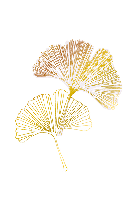 Melancolia: Gingkos