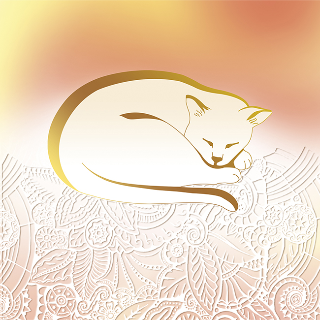 Palazzo: Sleeping Cat