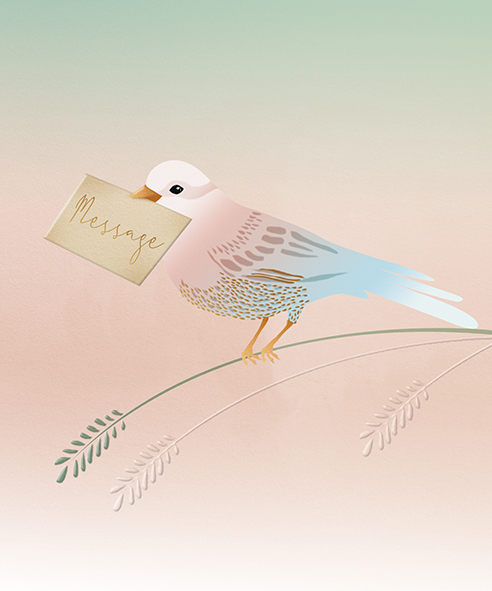 Aurore: Bird Message