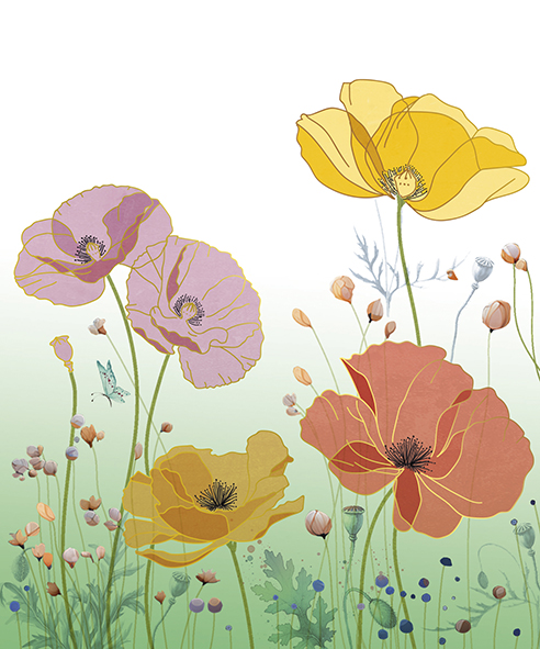 Aurore: Poppies
