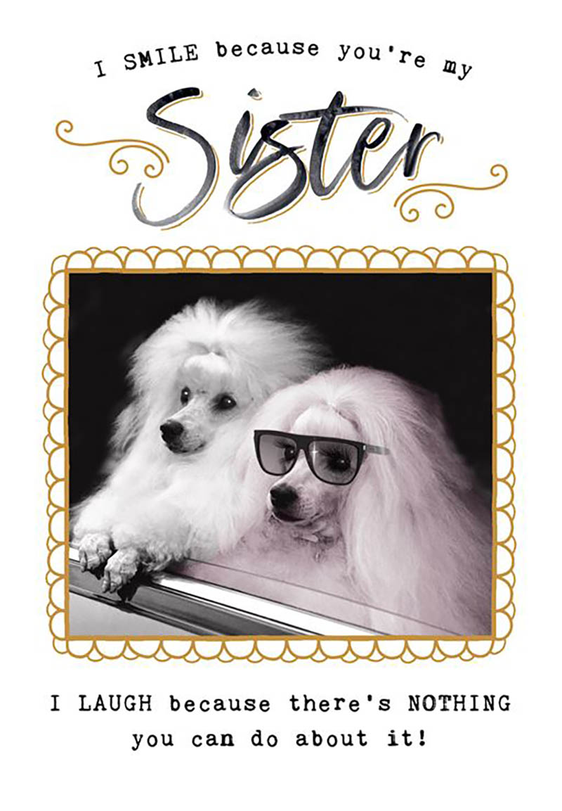 Bday Sister Funny Works Dogs