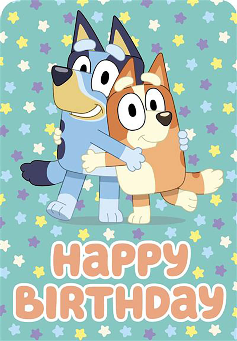 Bluey: Bday Bluey Bingo Hug