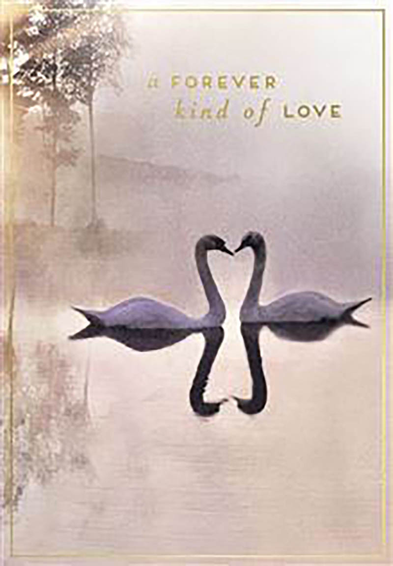 Love Unlimited: Forever Kind