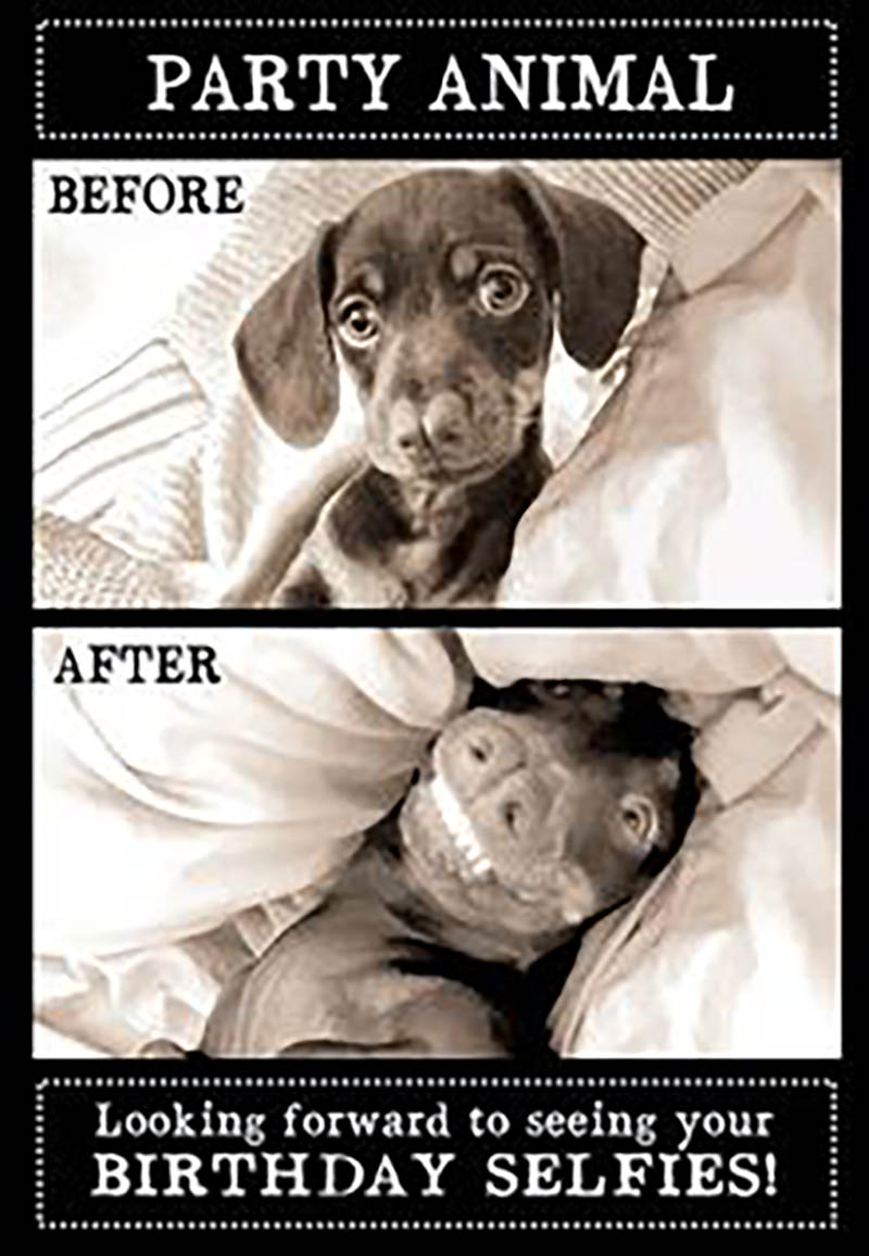 Animal Antics: Birthday Selfies