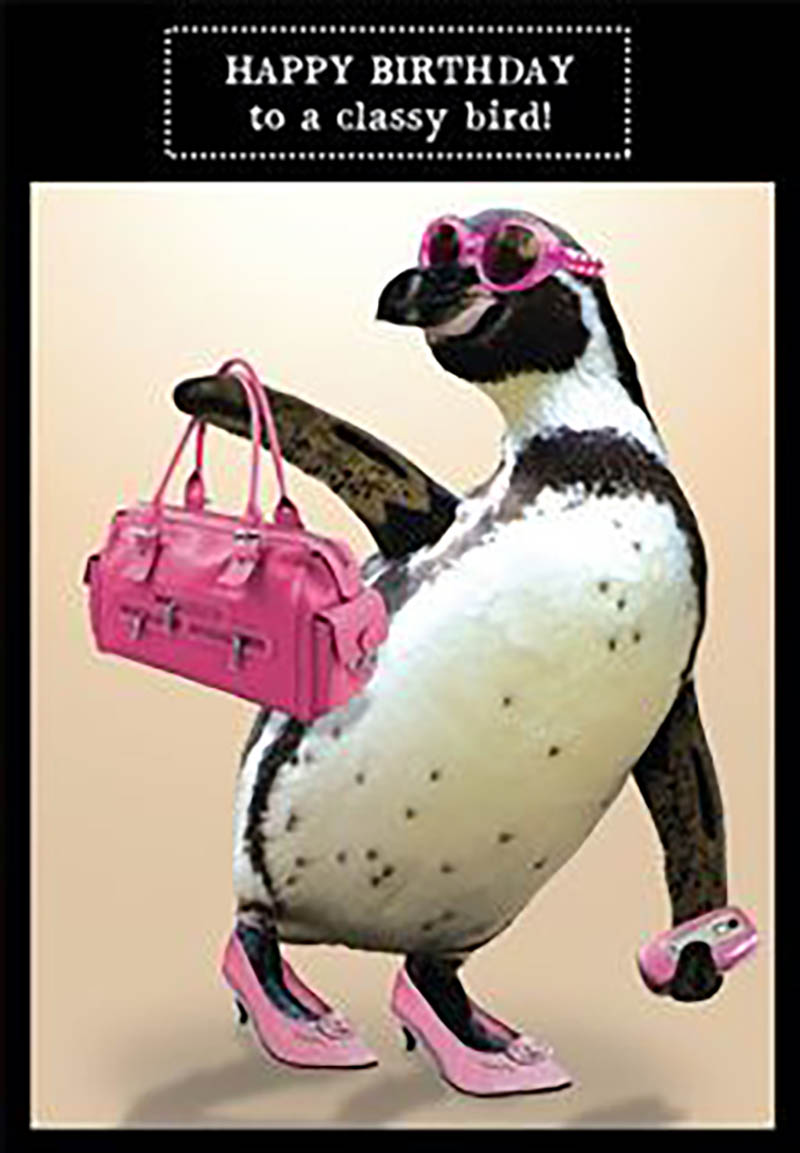 Animal Antics: Classy Bird