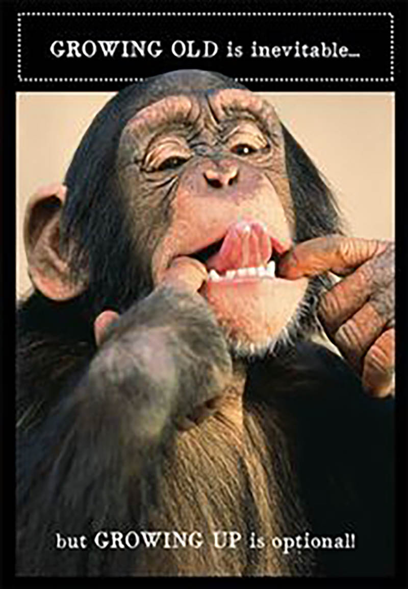 Animal Antics: Growing Old