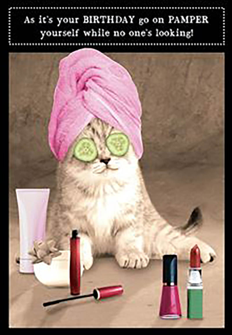 Animal Antics: Pamper Urself