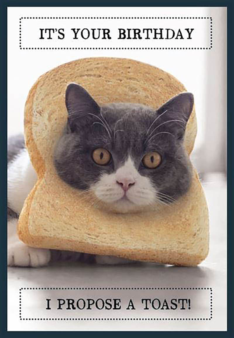 Animal Antics: Propose A Toast