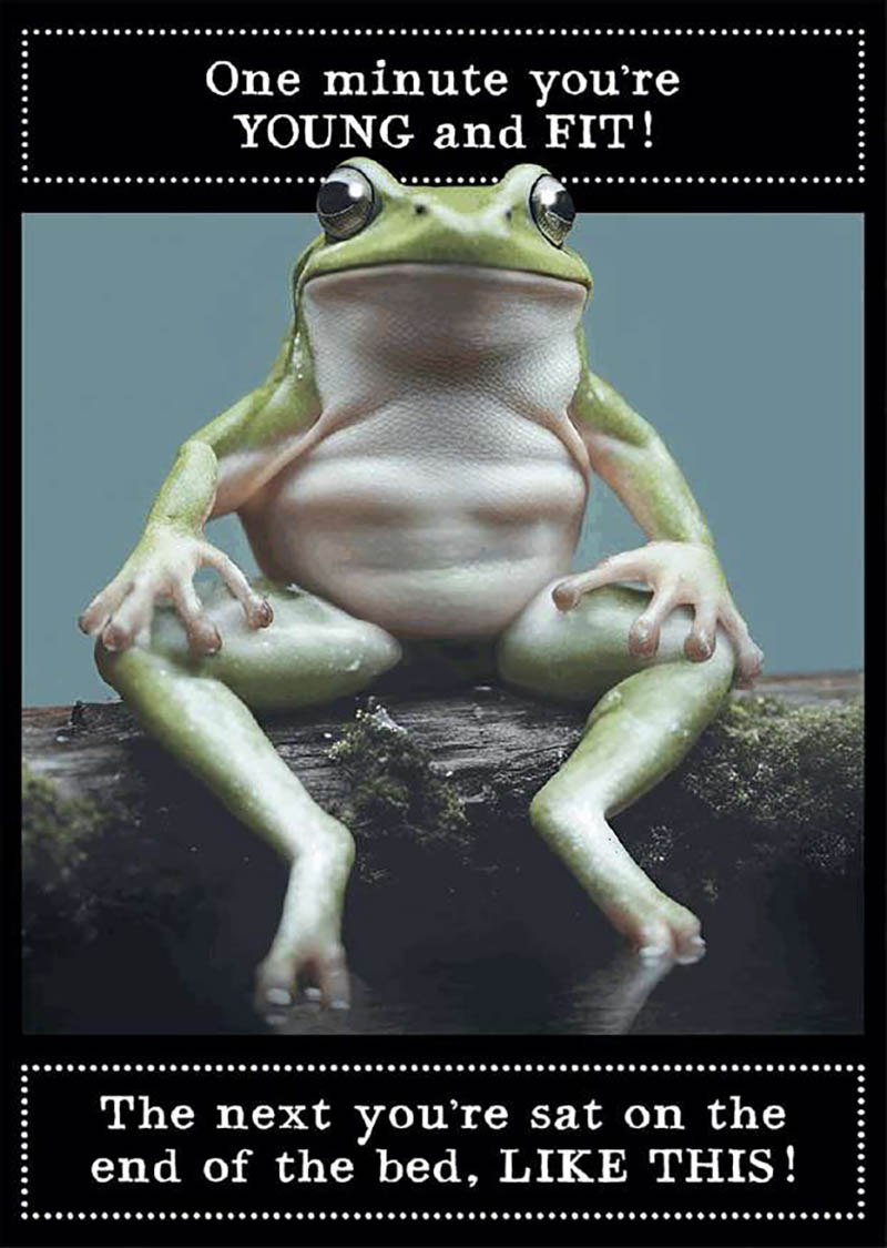 Animal Antics: Young And Fit