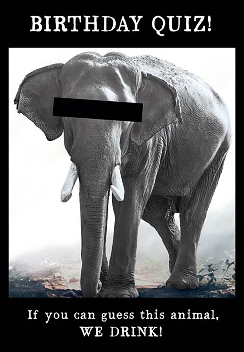 Animal Antics : Quiz