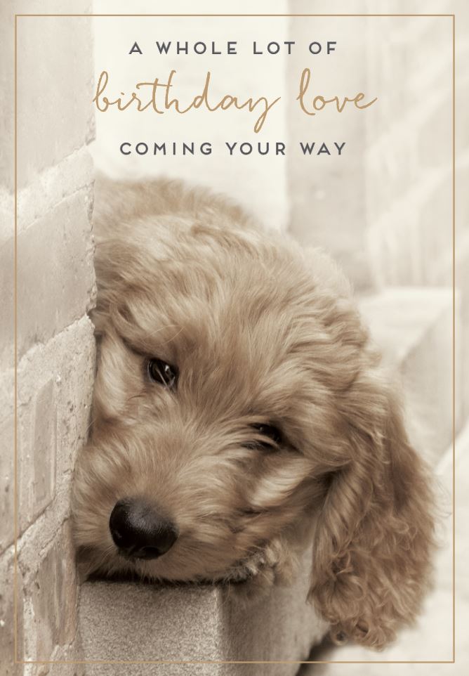 Love Unlimited: Love Puppy