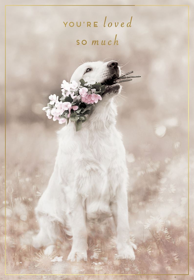 Love Unlimited: Loved Much Dog