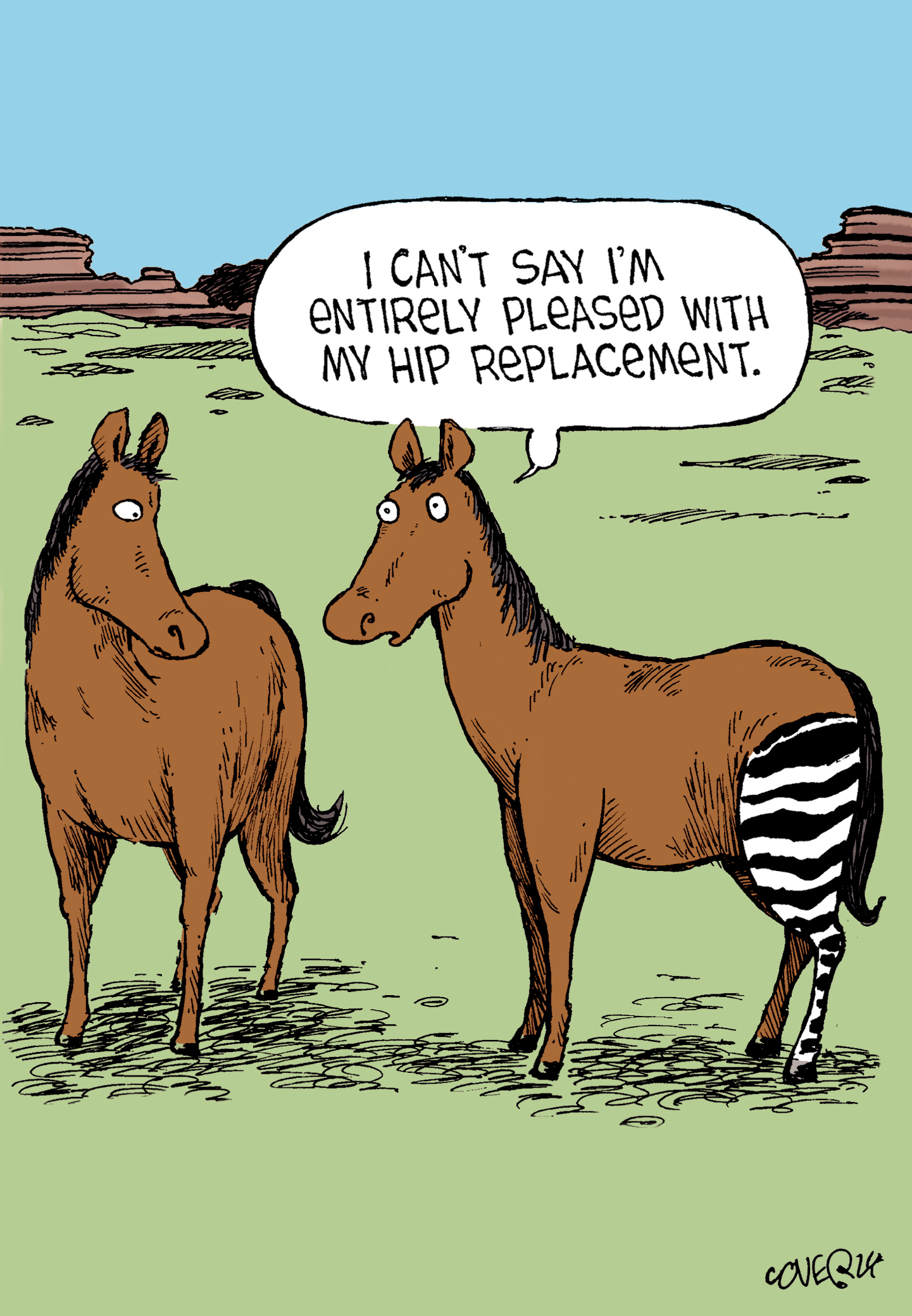 Woody 1: Hip Replacement