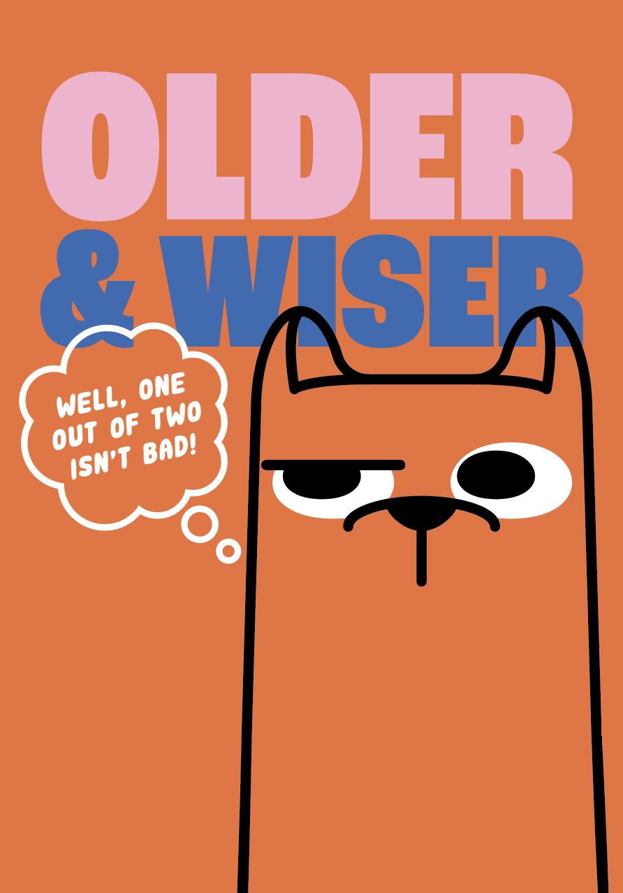 Pigment: Bday Hum Older And Wiser Cat