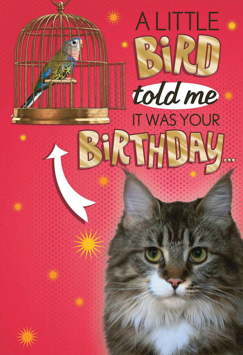 Mad As Cheese A Little Bird