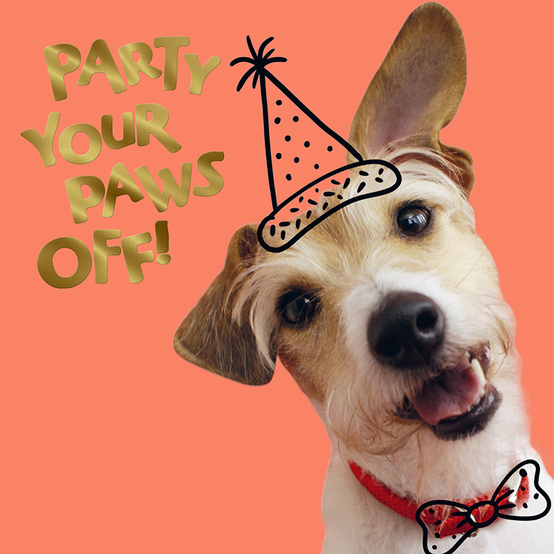 Hm Bday Party Paws Off