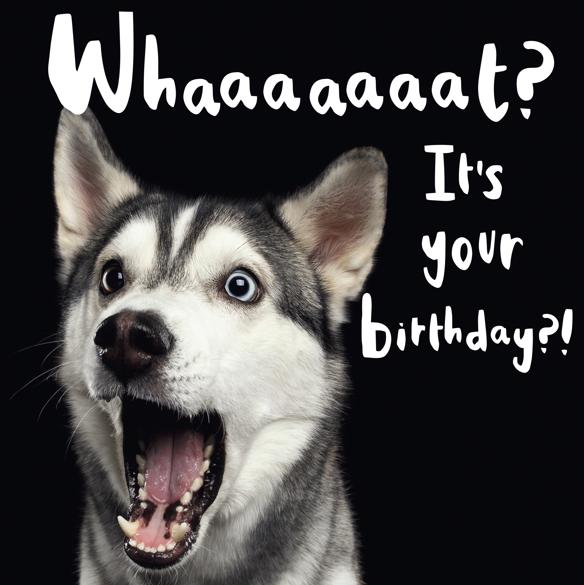 Hm Male Bday Whaaaaaat