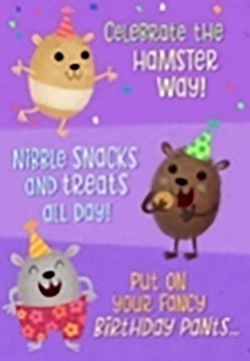 Interactive: Hamster