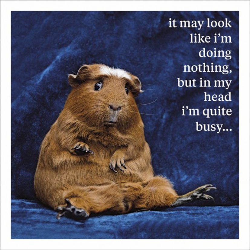 Curious World: Doing Nothing