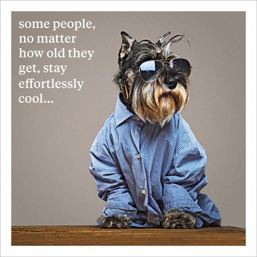 Curious World: Cool Dog