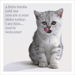 Curious World: Birthday Little Brdie