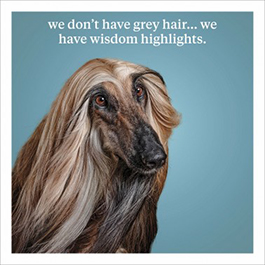 Curiouos World: Wisdm Highlght