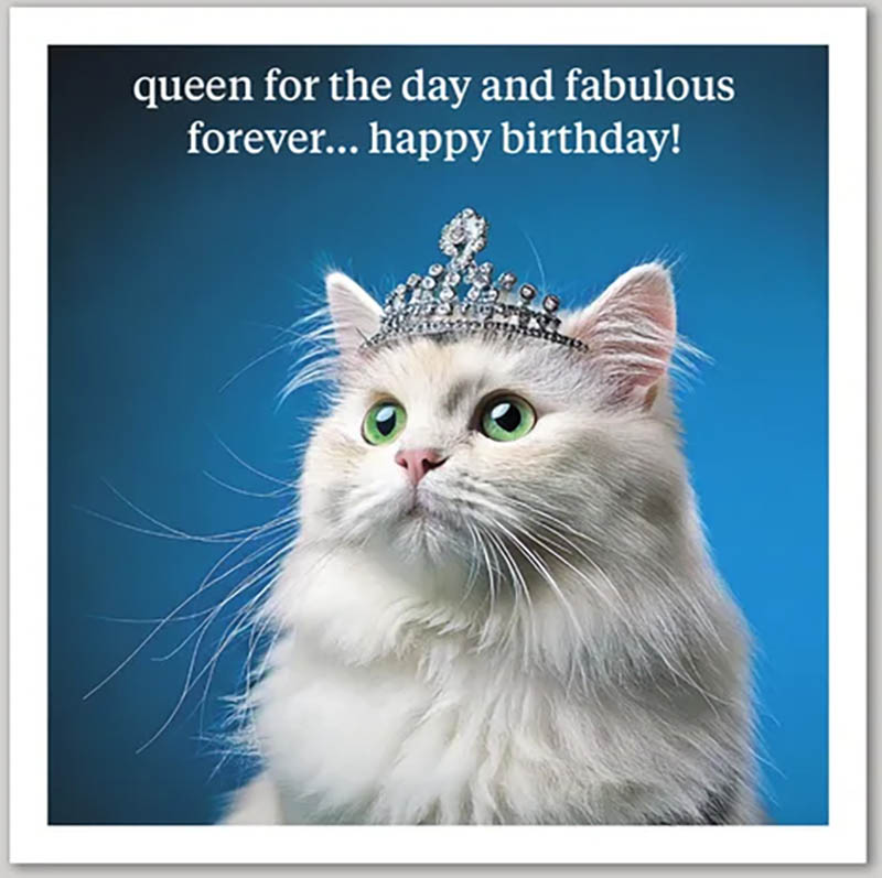 Curious World: Fabulous Forever