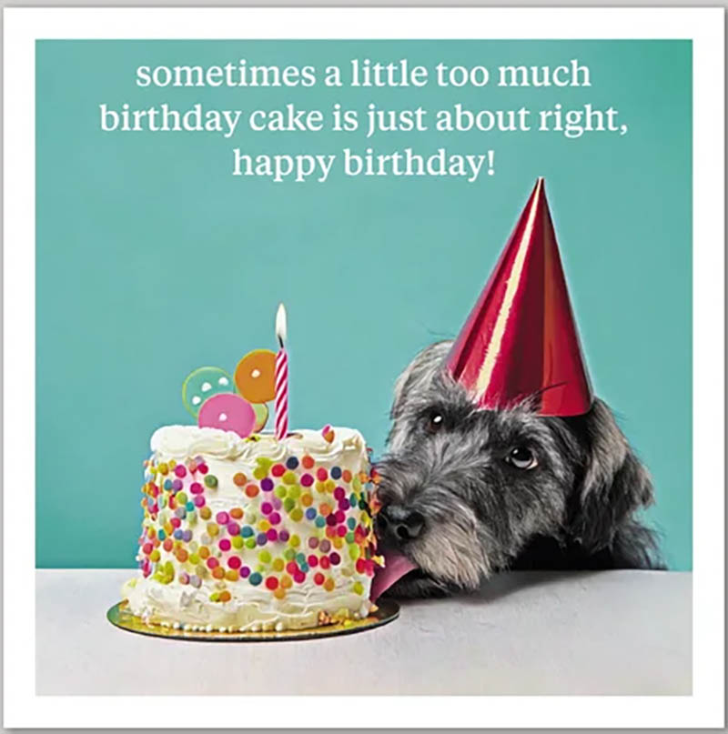 Curious World: Too Much Cake