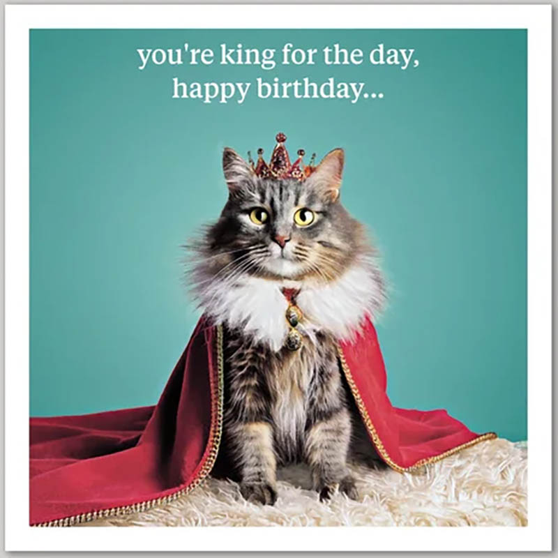 Curious World: King For The Day