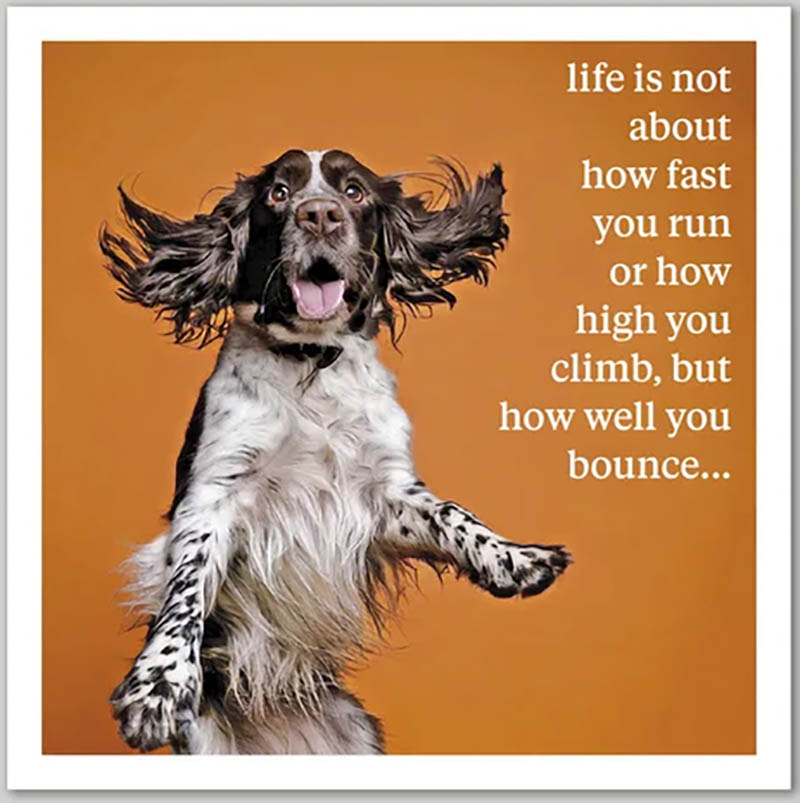 Curious World: How Well You Bounce