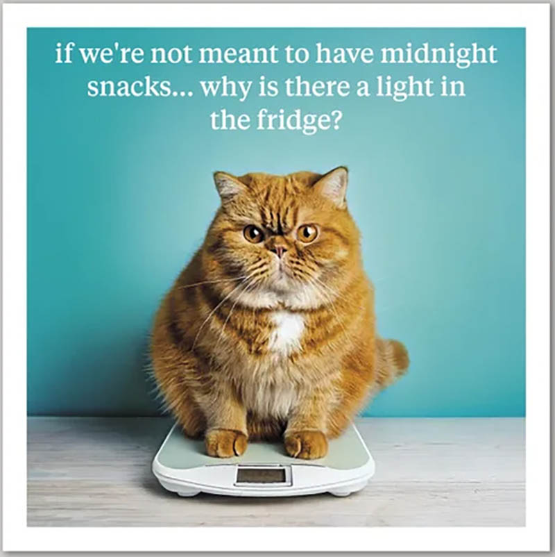 Curious World: Midnight Snacks