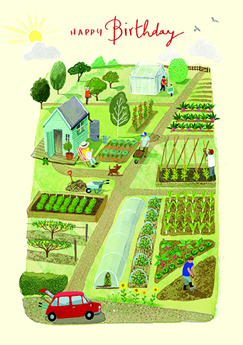 Blue Skies: Allotment Life