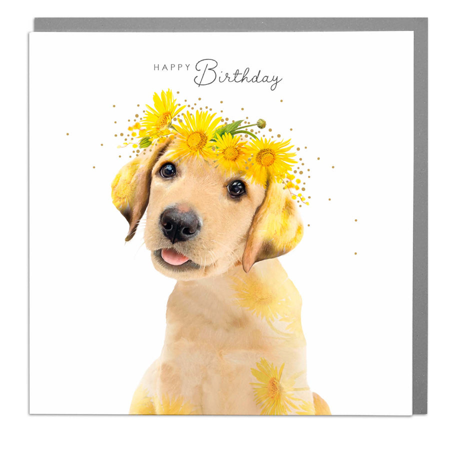 Wildlife Botanicals Birthday: Ylw Lab